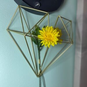 Geometric Himmeli heart shape wall decor - air plant holder